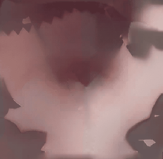 17.webp